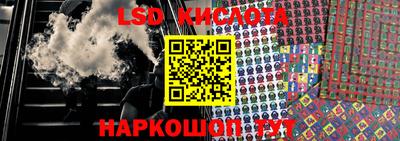 шишки Бузулук
