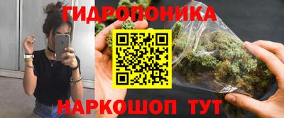 шишки Бузулук