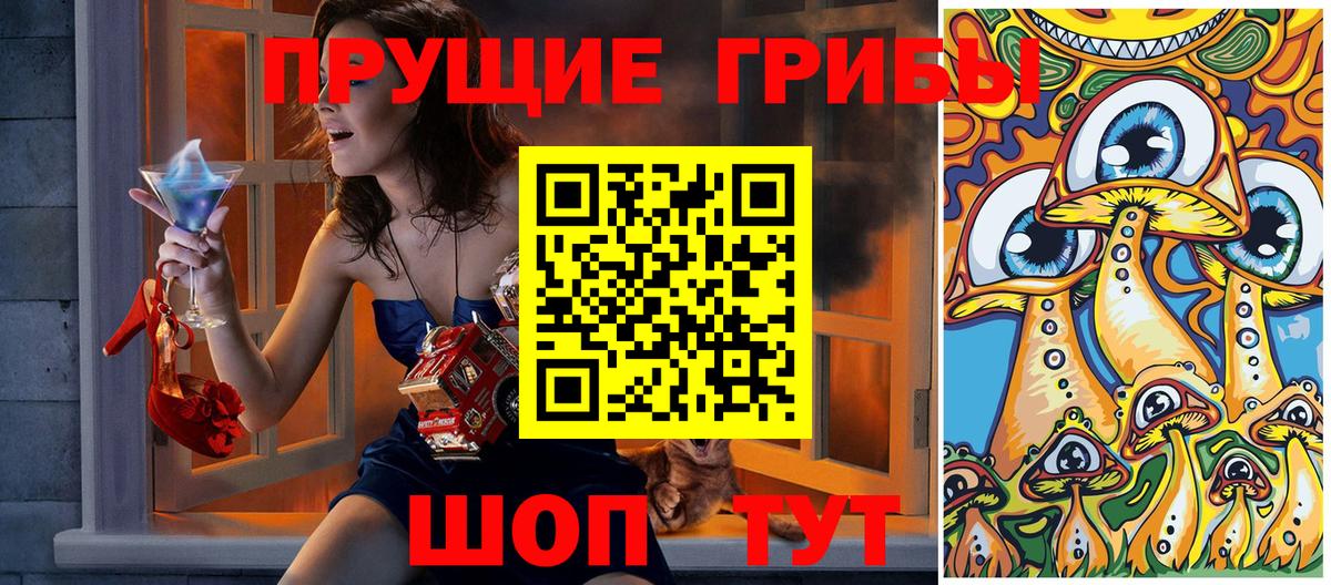 Галлюциногенные грибы GOLDEN TEACHER Приморско-Ахтарск